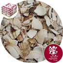 Barra Shell - Harling